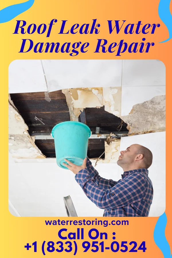 Roof Leak Water Damage Repair in Canton, NC