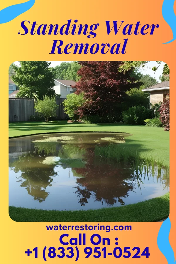 Standing Water Removal in Canton, NC